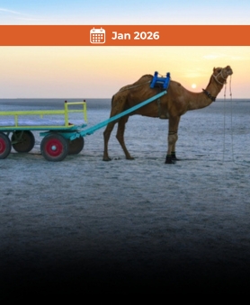 Rann of Kutch Expedition